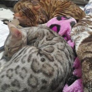 Meet your Posher, Sue